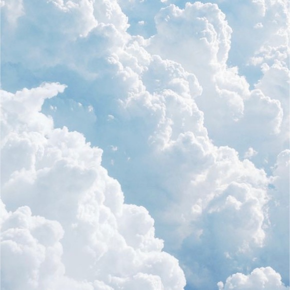 Meet your Posher, Addison - Picture 1 of 1